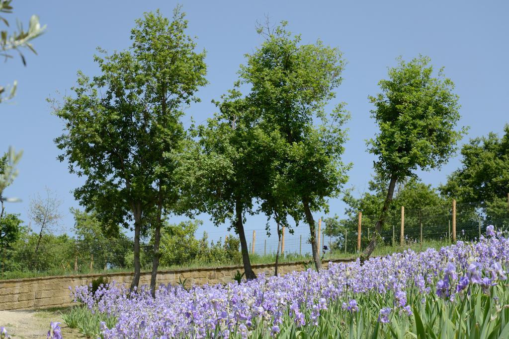 Agriturismo Villa Iris Castelfranco di Sopra Exterior photo
